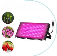 Lámpara De Crecimiento LED De Espectro Completo Para Plantas 5V Luz Verde Para Suculentas Cultivo De Interior Frutas Y Hidroponia - details 7
