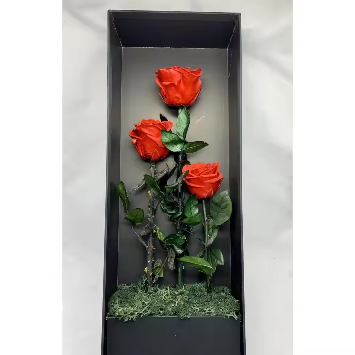 3 Rosas eternas Naturales en Caja Negra - Rosa eterna roja 60cm en Caja Regalo Día de la Madre - Flores San Valentín Enamorados con DEDICATORIA (60cm) - 1