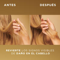 Pantene Molecular Bond Repair Champú con Biotina Fórmula Pro-V para el Pelo Seco y Dañado. Protege y Deja el Pelo más Sano y Regenerado. Enriquecido con Nutrientes 6 Unidades de 250ml - details 0