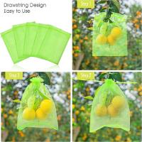 Bolsas De Red De Protección Para Frutas 100pcs Control De Plagas Y Pájaros Para Verduras Y Uvas Herramienta De Jardinería Material De Nylon Blanco Y Verde - details 4