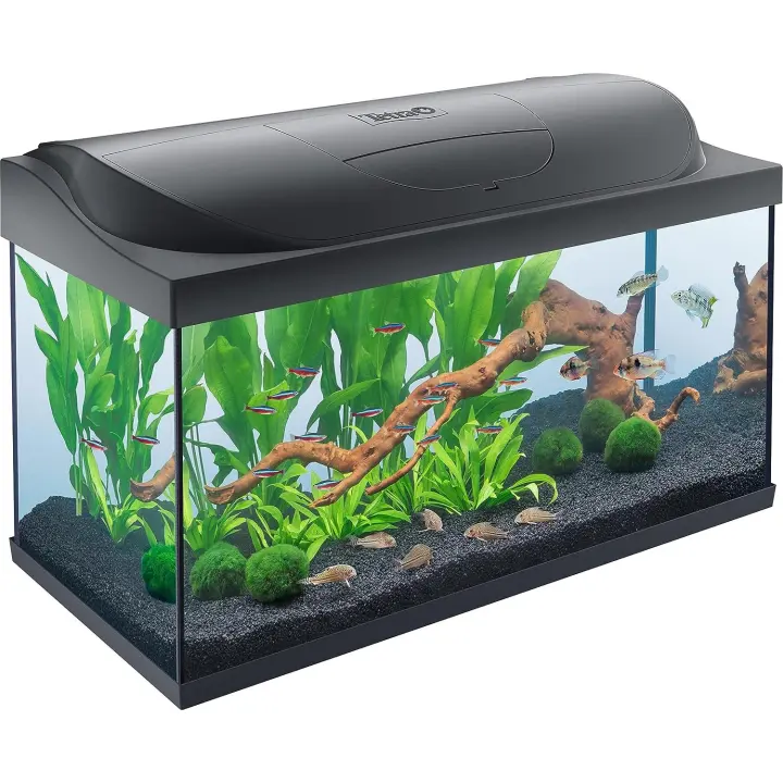 Tetra Starter Line LED 105L Acuario de inicio grande, bombilla LED con modo luz diurna/nocturna - 1