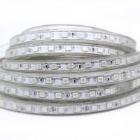 Tira LED Flexible RGB 5050 220V Luz Exterior Impermeable IP67 60leds/m Con Enchufe 5M/10M/15M Para Decoración De Hogar Y Jardín - details 3