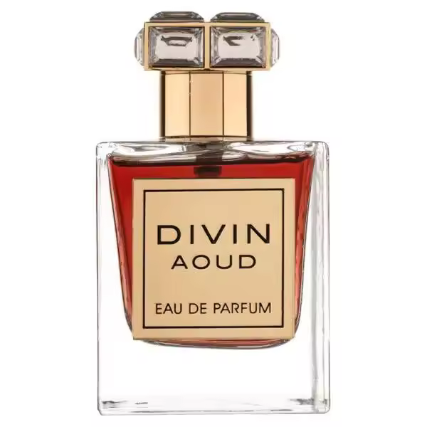 Perfume arabe unisex Divin Aoud French Avenue 100ml,Fragancia masculina y femenina duradera,lujosa,oriental Colonia de mujer y de hombre NOVEDAD - 1
