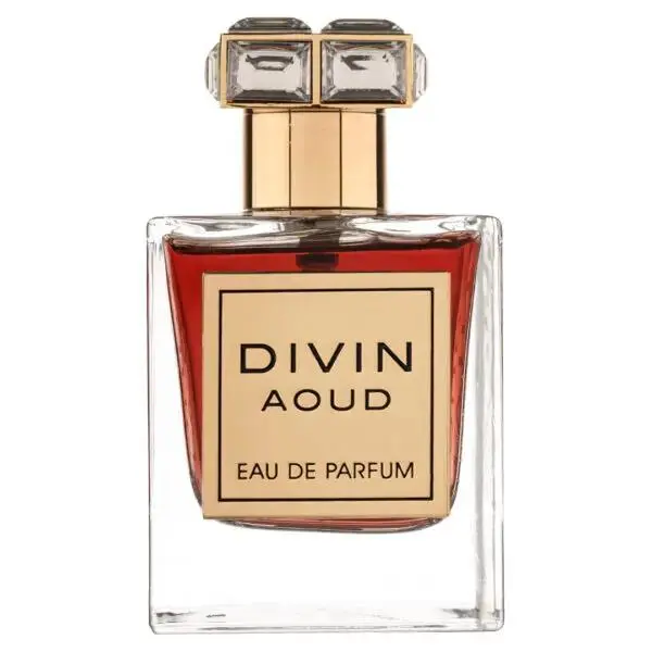 Perfume arabe unisex Divin Aoud French Avenue 100ml,Fragancia masculina y femenina duradera,lujosa,oriental Colonia de mujer y de hombre NOVEDAD - 1