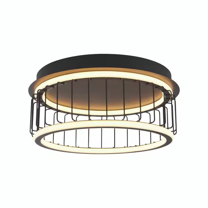 Círculo Contemporáneo Luz de Techo de Aluminio Blanco Silicona Negro Led 40W 3000K - 1