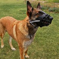 Mascarilla Para Perro Tamaño Medio Y Grande Antirruidos Y Anti Mordeduras Máscara Para La Boca De Los Perros Con Pelo Dorado Para Celadores - details 0