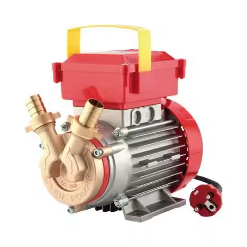 Bomba Trasvase Rover 0.5HP 1700l/h. 20CE Rover Pompe - 1