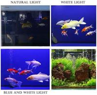 Luz Blanca/Azul LED de Acuario Peces Tanque Clip Lámpara Iluminación de Plantas de Acuario con Luz con Diferente Voltaje Longitud - details 3