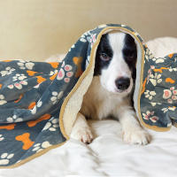Manta Para Perros Impermeable Bucephalus Reversible Suave Y Lavable Protección Para Sofá Manta Para Gatos Y Perros Con Patrón De Animales - details 44