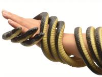 Juguete Realista De Goma 123cm Serpiente Sintética Para Simular Anaconda Para Halloween Accesorios De Piñata Y Fiestas - details 1