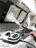 Limpiadores a vapor portátiles de alta temperatura y presión de 2500 W, aire acondicionado, campana extractora de cocina, máquina de limpieza a vapor para automóviles, limpieza de pisos - details 0