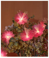 Luces De Garland LED Para Jardín Dormitorio Y Fiesta Navidad Y Año Nuevo Decoración De Flores Y Hadas Batería Incluida - details 8