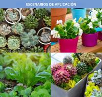 Lámpara De Crecimiento LED 150W Espectro Completo E27/E26 Para Plantas Ideal Para Cultivo Interior De Suculentas Y Verduras Hidroponicas Luz De Frutas - details 10