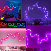 Cinta LED Neón RGB De 5M Con Control Remoto USB 5V Luz Flexible Cambio De Color Para Decoración Interior De Dormitorio - details 10