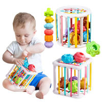 Juguete Educativo Para Bebés Cubo De Actividades Con Bloques De Colores Y Formas Juego De Aprendizaje Para Niños Desde Nacidos Hasta 12 Meses Regalo Ideal - details 0