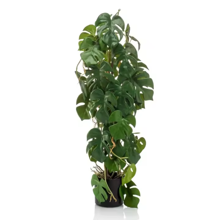 Esmeralda Monstera artificial en macota 75 cm - 1