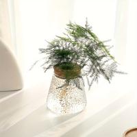 Estación De Cría De Plantas En Vaso De Vidrio 1pc Soporte Para Flores Y Vaso De Cultivo Ecológico Para Escritorio Decoración De Oficina Y Hogar - details 6