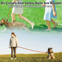 Correa Y Collar De Nylon Duradero Para Perros Medio Y Grande 2 En 1 Ajustable Cómodo Con Anillo De Solución Para Mascotas - details 8