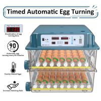 Incubadora de huevos 120, incubadora de huevos derecho para incubar pollitos, volteador automático de huevos con control de temperatura ,5 modos de incubación automáticos - details 2