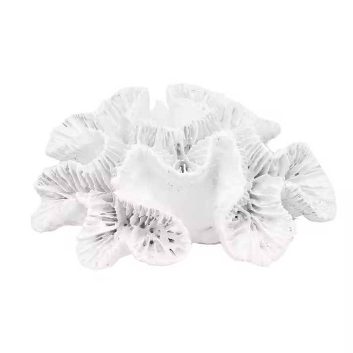CAPRILO REGALOS & DECORACIÓN Figura Decorativa Marinera de Cerámica "Coral Blanco ". Adornos y Esculturas. Decoración Hogar. Regalos Originales. 16 x 13 x 5 cm - 1