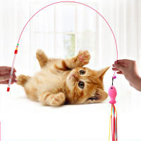 Juguete Para Gatos De Acero Con Mariposa Y Plumas De Turco Coloridas Con Campana Juguetes Divertidos Para Jugar - details 0