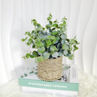 Planta Artificial De Eucalipto En Maceta Cilíndrica Para Decoración De Oficina Y Fiestas Prop De Exhibición De BONSAI - details 4