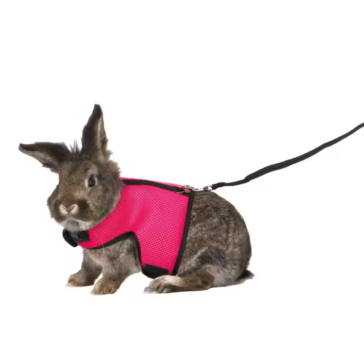 TRIXIE Arnés suave correa, Conejos grandes,25-40cm,1.20m - 1