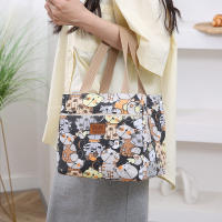 Bolsa De Almuerzo Grande Y Aislada Con Estampado De Dibujos Animados Bolso Termo Para Escuela Trabajo Viajes Y Picnics - details 16