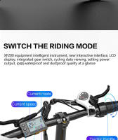 Bicicleta Eléctrica Bezior xf200 20 ''* 4,0'' 48 V15ah 130 km kilometrije freno hidráulico - details 15