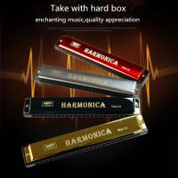Harmonica Cromática De Boquilla C 24 Agujeros Instrumento De Viento De Madera Organófono Musical Acero Inoxidable Fosfor-bronce Ti-Plated - details 0