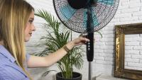 Ventilador Cecotec EnergySilence 510 – 40W, 5 Aspas, Silencioso, Oscilante, Altura Ajustable - details 4