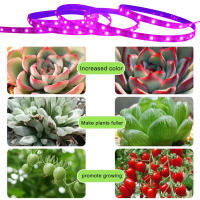 Luz De Crecimiento LED USB 5V 2835 Para Plantas Completo Espectro Lámpara De Cinta Para Vegetal Flor Estufa Cultivo 1M 2M 3M 4M 5M - details 5