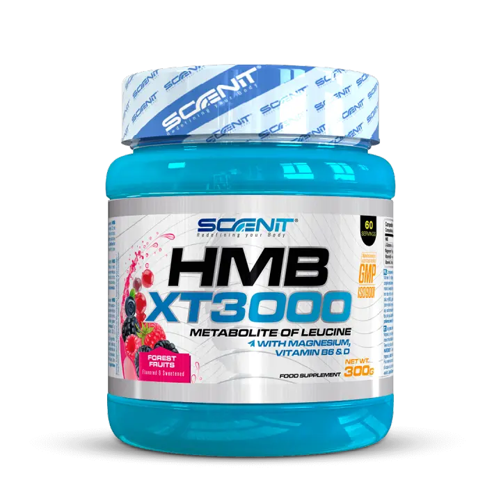 HMB XT 3000 - HMB 3000 mg con Glutamina, Magnesio, Vitamina B6 y Vitamina D - 300 g - HMB anticatabólico - HMB en polvo anticatabolico - Sabor frutos del bosque - 1