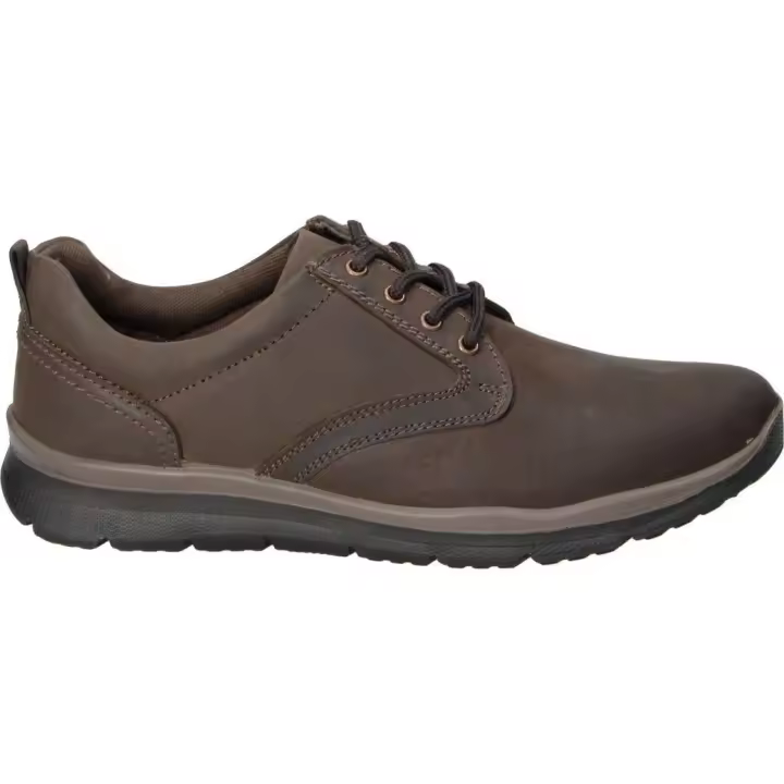 ZAPATOS PALMIPAO-ACLYS DINO 04 CABALLERO MARRON - 1