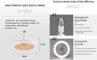 Ceiling Fans with Lights