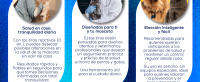 Tiras Reactivas de Orina 10 en 1 para Perros y Gatos - Glucosa, pH, Proteína, Sangre, Leucocitos, Nitrito, Cetonas, Bilirrubina, Urobilinógeno y Gravedad Específica - Salud para Mascotas -100 Uds. - details 2