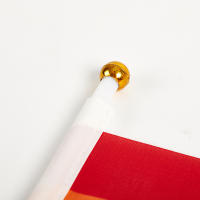 10PCS Banderas Arcoíris Pequeñas Y Fáciles De Sostener Para Festival Y Desfile De Orgullo Gay Material Plástico - details 7