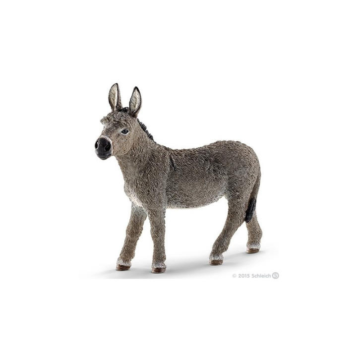 Burro