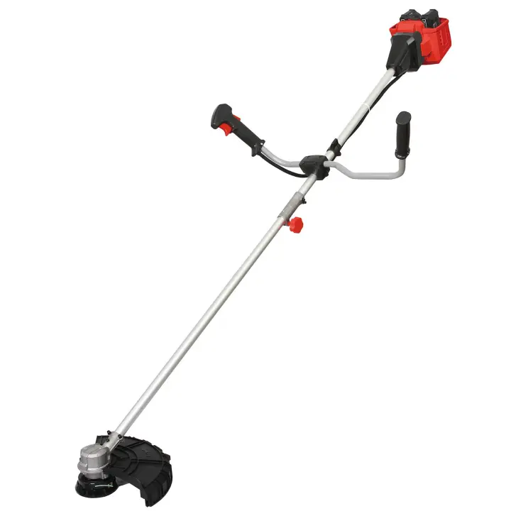 Desbrozadora Eléctrica en badería DUNSCH 20Volt ONLY HOUSH - 1