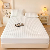 Protector De Sábanas Impermeable Con Cama Durable Antialérgico No Esmerilado Tamaño Ajustable 150/160x200 Anti-Polvo Y Anti-Rasguños - details 8