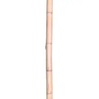 Tronco de Bambú Mediana MT. 1 4-5cm. Diámetro - 1