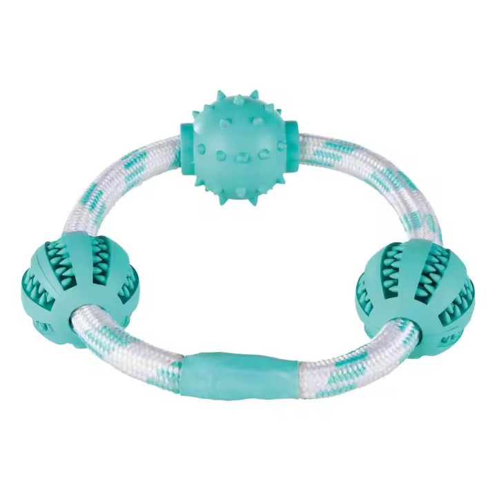 Trixie Aro de Cuerda con Pelotas Menta Denta Fun para Perros  Juguete para Perros - 1