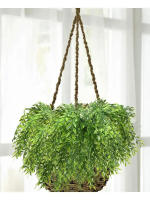 1pc Decoración De Interiores Hoja De Sauce Simulada Adorno Floral Falso Planta Verde Artificial Vínculo Verde Colgante Para El Hogar - details 6