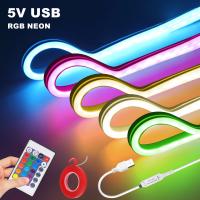Lámpara De Neón LED RGB Flexível Con Control Remoto De 24 Teclas Y Tubo De Silicona Para Decoración De Iluminación Retroiluminada En El Hogar - details 1