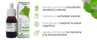Extracto de Ginkgo Biloba Soria Natural 50ml - details 0