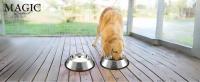 2x Cuencos para Perros con Base Antideslizante. Comedero para Mascotas de Acero Ixidable. Bebedero para Gatos Hipoalergénico. Fácil de Limpiar y Apto para Lavavajillas - details 0