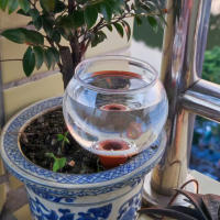 Espiga De Riego Automática Para Plantas 200ML Cerámica Dispositivo De Riego Por Goteo Para Vacaciones De Flores Y Plantas - details 4