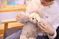 Muñeco De Peluche Realista De Sota Para Niños Y Amigos Lindo Regalo De Navidad Relleno De Algodón PP Tipo De Peluche Adecuado Para Todas Las Edades - details 16
