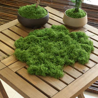 Plantas Artificiales Verdes Alrededor De 20g Poliéster Moqueta Hierba Para Decoración De Hogar Sala De Estar Jardín Mini Paisaje Flores Falsas DIY Artesanía - details 20