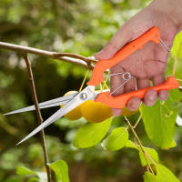 Tijeras De Jardín 250mm Para Podar Plantas Y Flores Herramienta De Corta Ramas Prunería De Jardinería Y Floristería - details 6